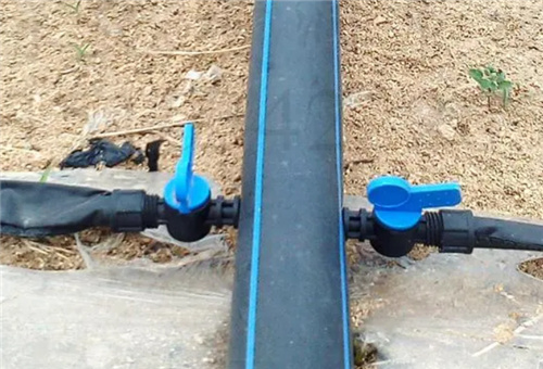 花椰菜追肥補救 花椰菜追肥補救