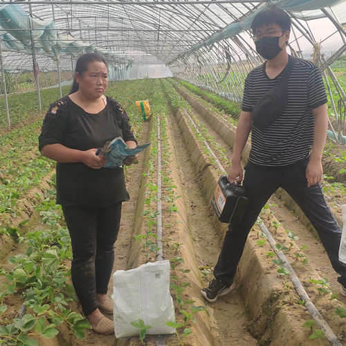 種植戶了解新型肥料現場2 種植戶了解新型肥料現場2