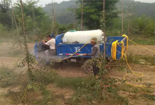 魚肽蛋白使用要求 魚肽蛋白使用要求