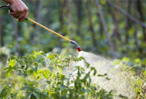 魚蛋白使用注意 魚蛋白使用注意