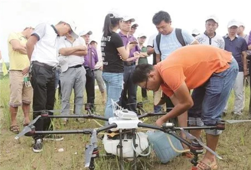液體肥如何用 液體肥如何用
