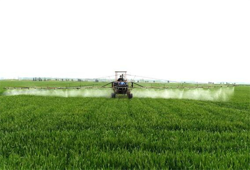 流體硼在小麥上用法 流體硼在小麥上用法