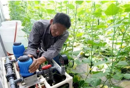 清液肥和粉劑肥如何選 清液肥和粉劑肥如何選